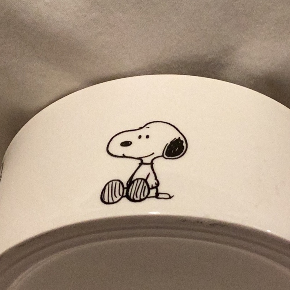 Peanuts Pet Bowl - Picture 3 of 9